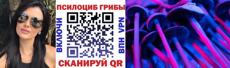 мориарти наркотические препараты  Киселёвск  Псилоцибиновые грибы Magic Shrooms 
