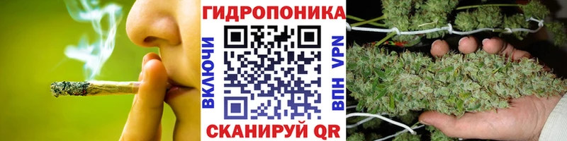 Каннабис Amnesia Киселёвск